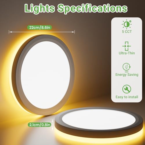 Dimmable main light and nightlight controlled by wall switch