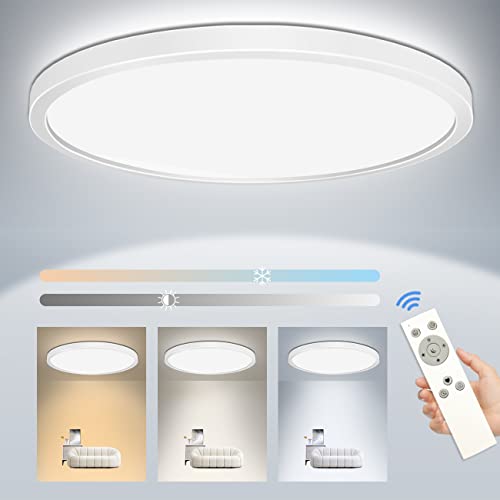 29cm Dimmable LED Ceiling Light with Remote Control